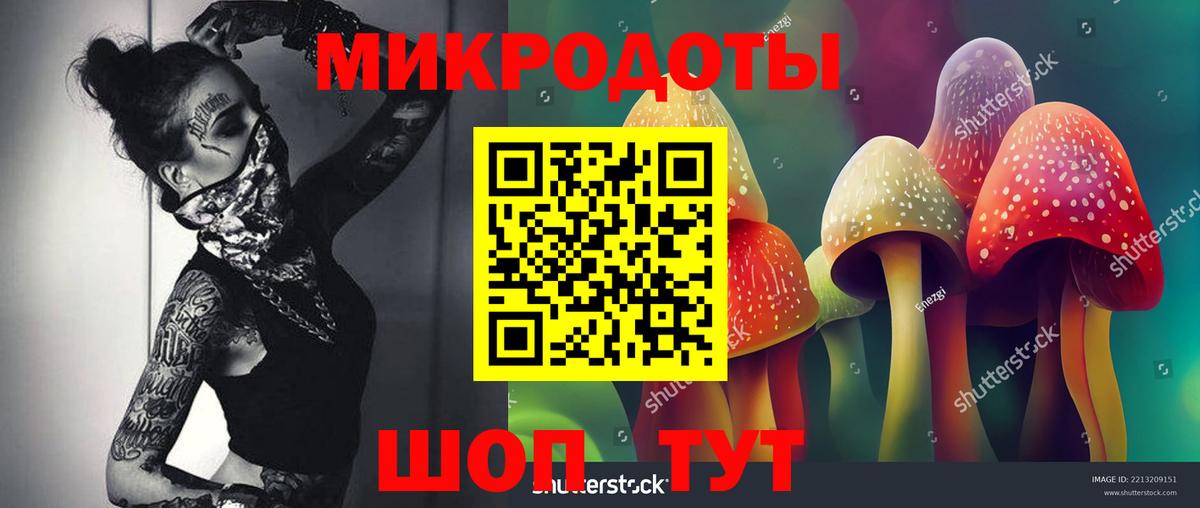 Псилоцибиновые грибы прущие грибы Можайск
